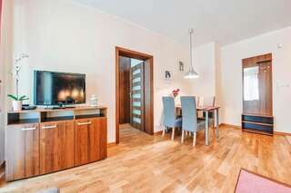 Апартаменты Apartamenty Sun & Snow Villa Cztery Pory Roku Ястшембя-Гура Апартаменты с 1 спальней-3